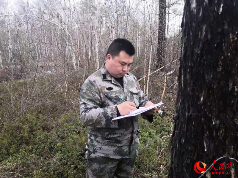 张显飞正在林场检查林木生长情况。人民网记者 张哲鑫摄